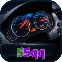 55qq